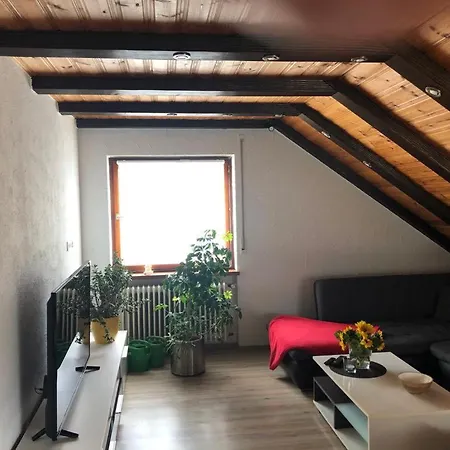 Ferienwohnung Zur Sonnenterasse In Gersbach Appartement